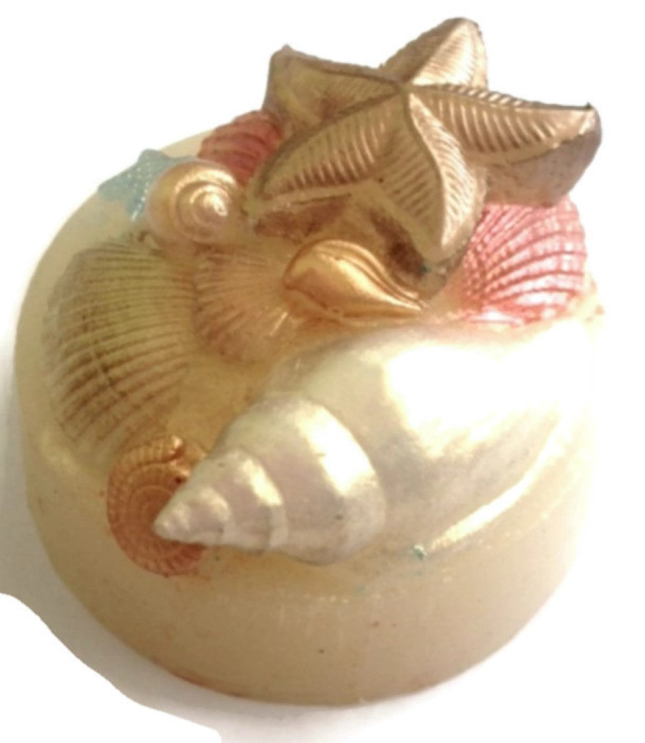 Seaside Scene Shells Silicone Mould