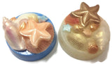 Seaside Scene Shells Silicone Mould