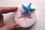 Starfish Mini Silicone Mould