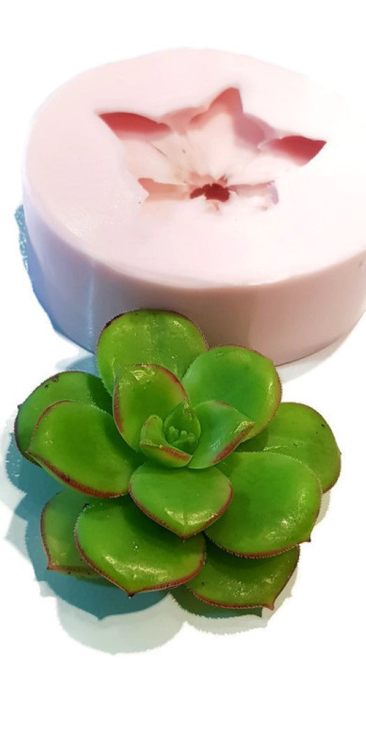 Cactus Succulent Silicone Mould