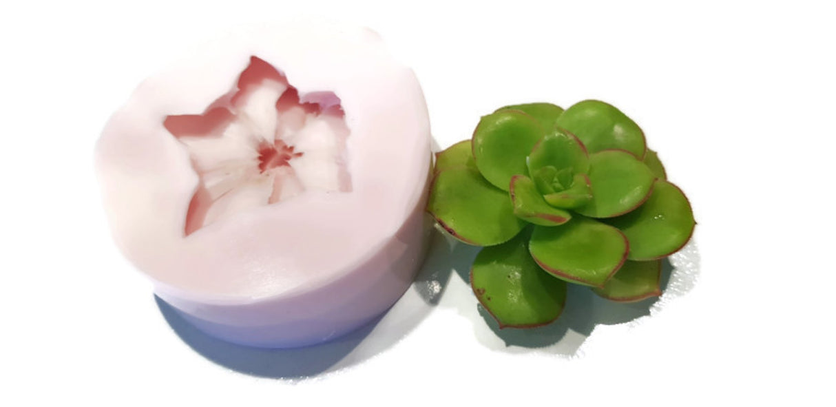 Cactus Succulent Silicone Mould