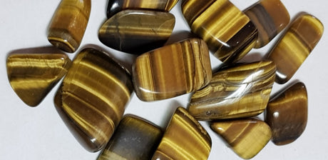 Tiger Eye Individual Pieces: Australian