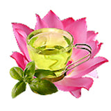 Green Tea and Lotus Fragrant Oil