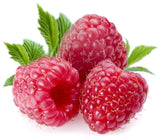 Raspberry Flavour (Oil Based)