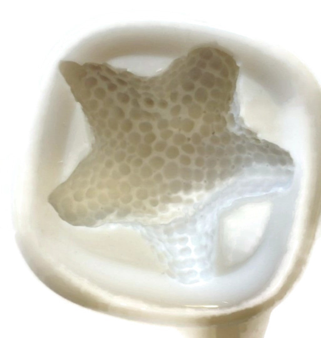 Starfish Silicone Mould