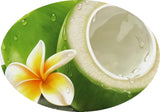 Tropical Coconut Fragrant Oil